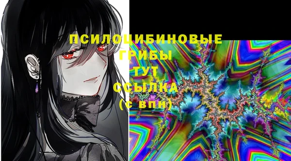 хмурый Белокуриха
