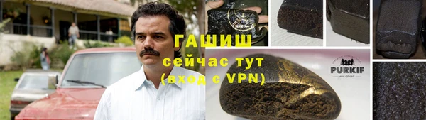 твердый Тайга