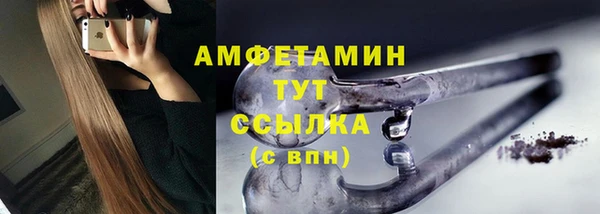 хмурый Белокуриха