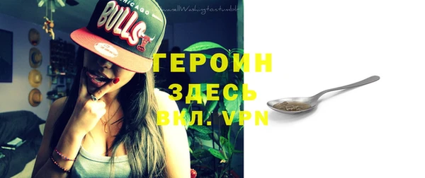 хмурый Белокуриха