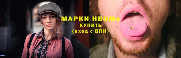 хмурый Белокуриха