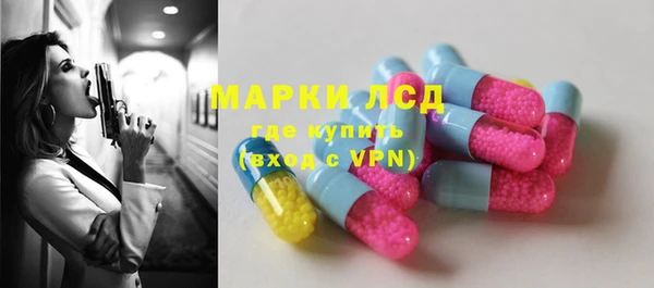 хмурый Белокуриха