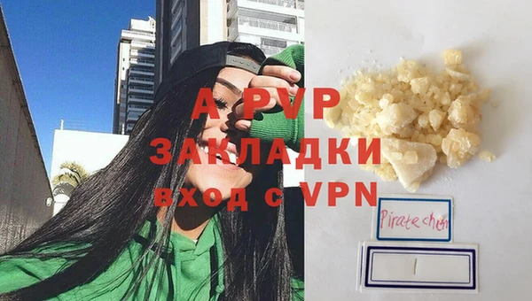 хмурый Белокуриха