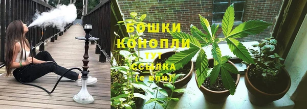 хмурый Белокуриха